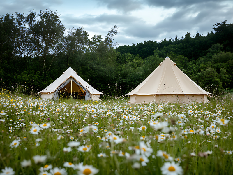 Meadow Camp, Sonmarg